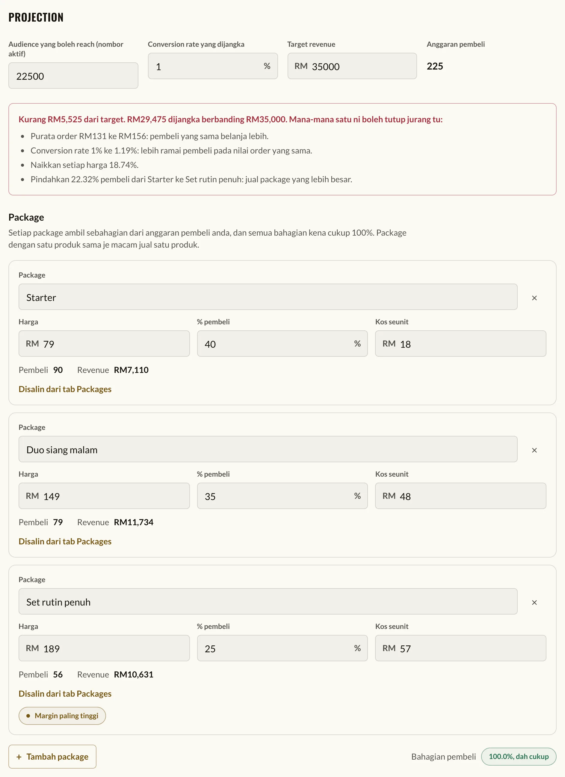 Tab Projection: audience, conversion rate, target revenue dan tiga package